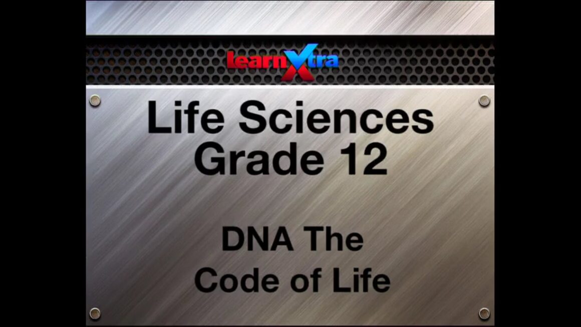 003 DNA – The Code of Life 3