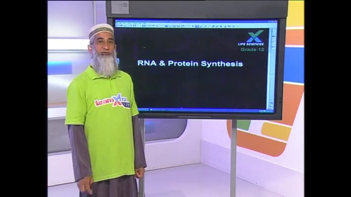 007 RNA – Structure & Protein Synthesis