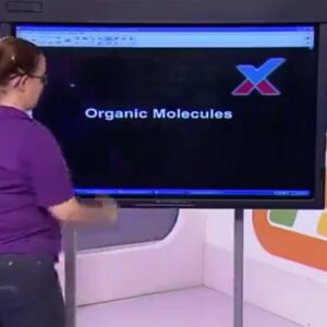 015 Organic Molecules 1