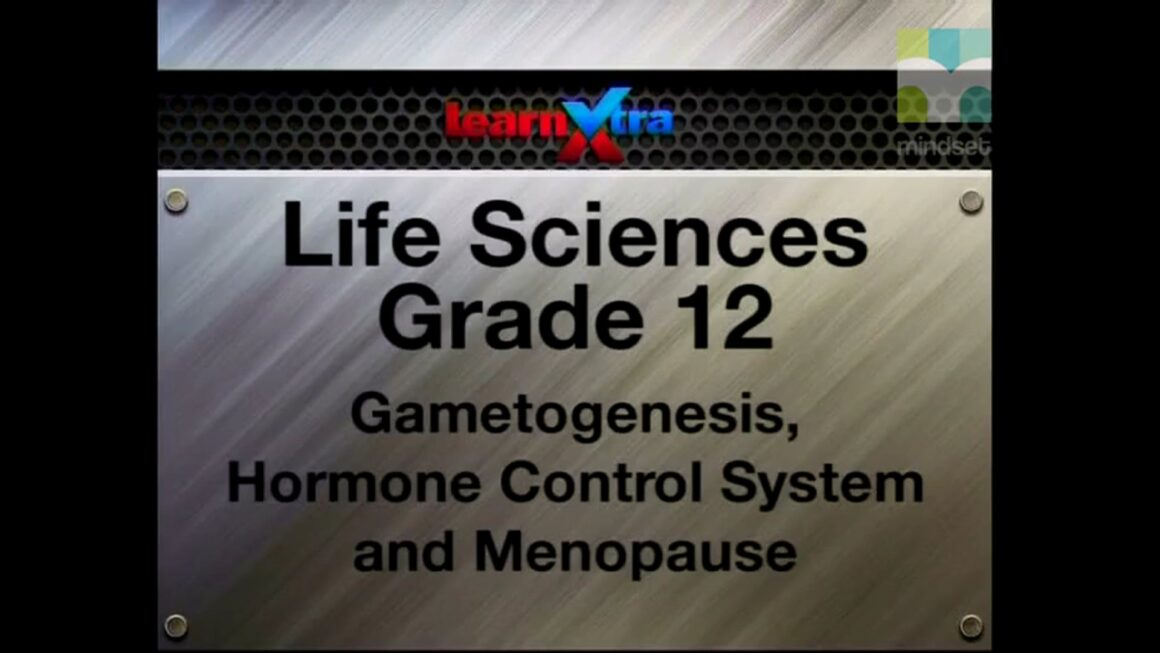 032 Gametogenesis, Hormone Control System and Menopause