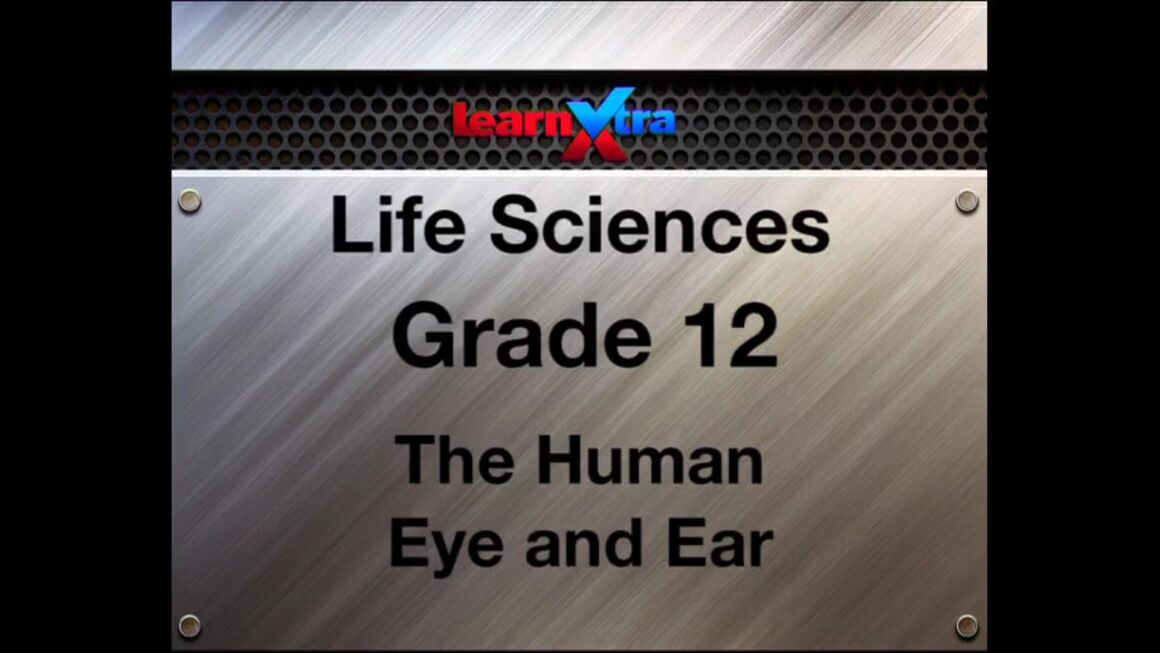 060 The Human Eye and Ear